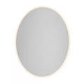 Reflections Integrated LED Wall Mirror V