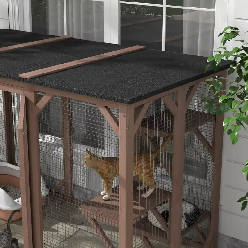 Cage à chat enclos extérieur cabane pour petits animaux clapier à lapins chatons