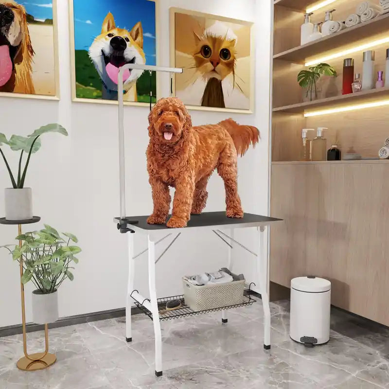Table de toilettage pour chien 35 pouces avec bras réglable, table de toilettage pliable pour animaux de compagnie avec plateau en maille, deux
