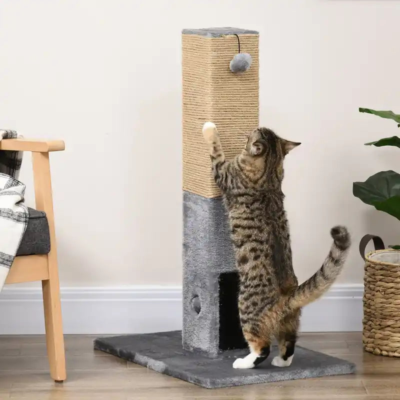Arbre à chat, 31 pouces de hauteur, griffoir pour chats d'intérieur, poteau à griffer en sisal naturel avec balles suspendues, brosses de toilettage, base stable